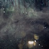 Night Dreams