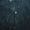 Night Dreams