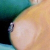 nipple rings