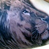 ink
