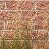 Prosperous Wall