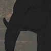 Elephant Noir