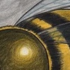 To Bee or Not To Bee