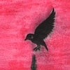 Crow