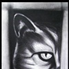 Cat in the Dark