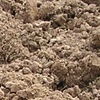The Dirt