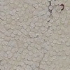 Paper Confetti