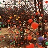 Gumdrop Trees in Skokie