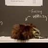 detail:  Fuzzy Wuzzy