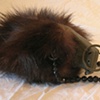 Fuzzy Wuzzy