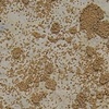 Millet