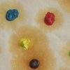 oil paint