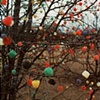 Gumdrop Trees in Skokie