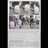 Slam Skateboard Magazine
