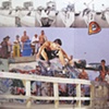 Slam Skateboard Magazine.