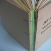 Natural Disasters Book