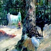 Madison Dog Park