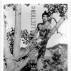 GLENN BISHOP FIRST  SESSION  NUDE IN TREE
