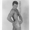 STEVE WENGRYN AMG MODEL NUDE 1953