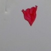 Fishing 4 Broken Hearts