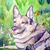 Sadie 