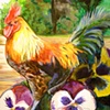 Cocks and Pansies 