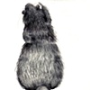 Rat 5
