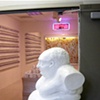 "Ideal" BFA Exhibition 2004