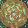 Cell