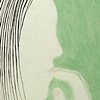 Nerves