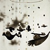 Shadow Birds