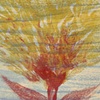 Fire Flower