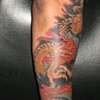 P/V TATTOOS 08