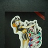 desing by DON NOLAN. painted by LOKO CHARLIE 
