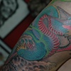 DRAGAO 2