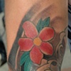 FLOWERS AND WATTER