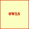 Owls