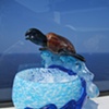 turtle bowl