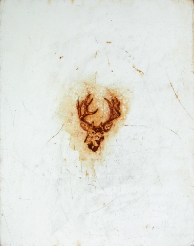 buck