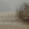 Untitled (detail)