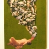 Operation Copper Green