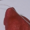 Thin Red Line