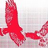 Ladyhawke