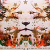 Gold Lion