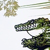 Hungry Croc (v2)