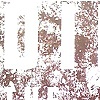 Dirt