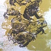 Toads