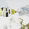 Nincompoop