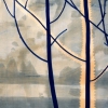 magic tree