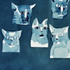 wildcats 2